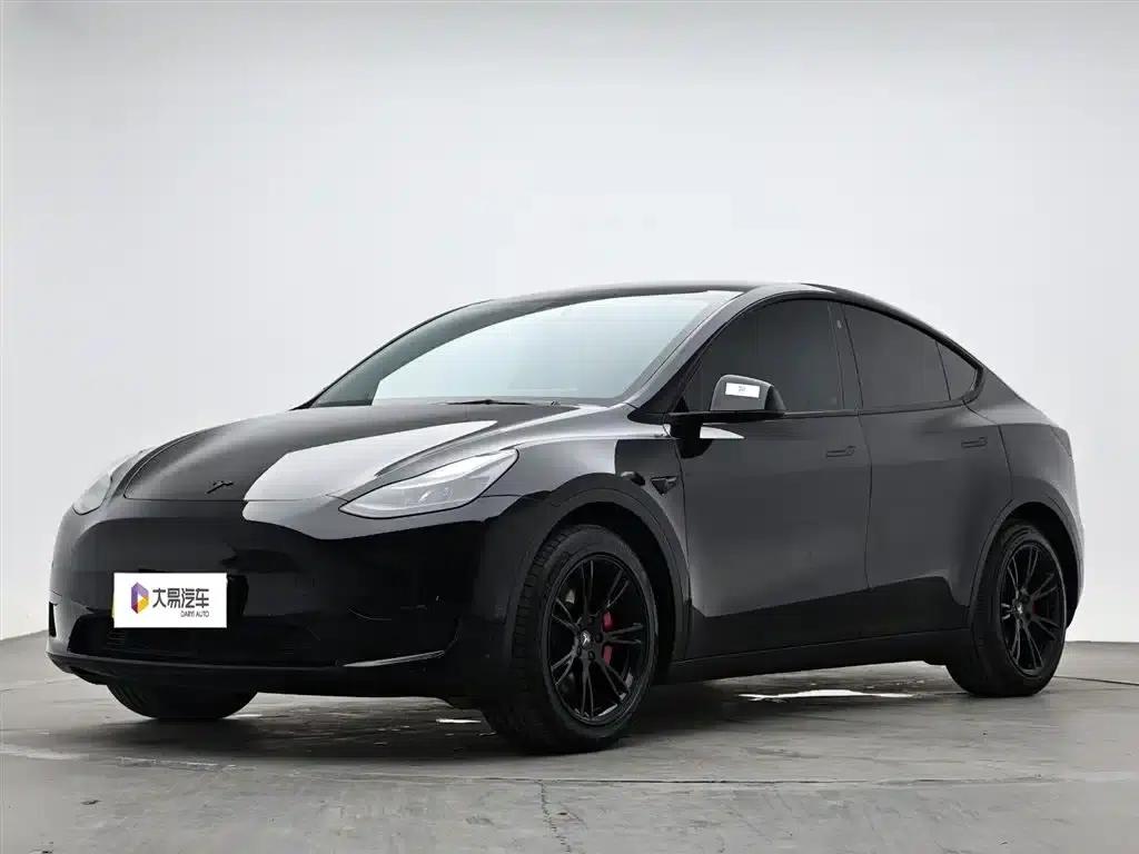 Model Y 2022 Rear-Wheel Drive — миниатюра 1