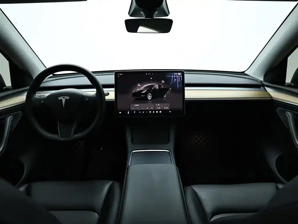 Model Y 2022 Rear-Wheel Drive — миниатюра 15