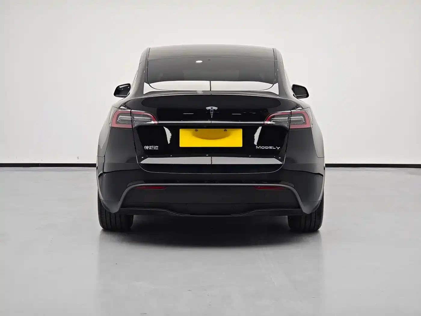 Model Y 2023 Rear-Wheel Drive — миниатюра 5