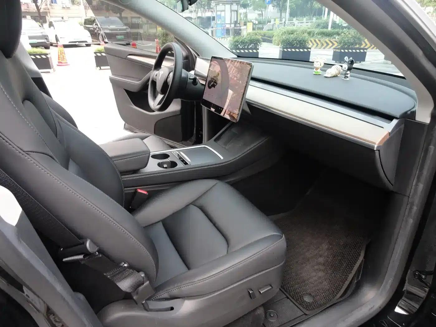 Model Y 2021 Standard Range Rear-Wheel Drive — миниатюра 4