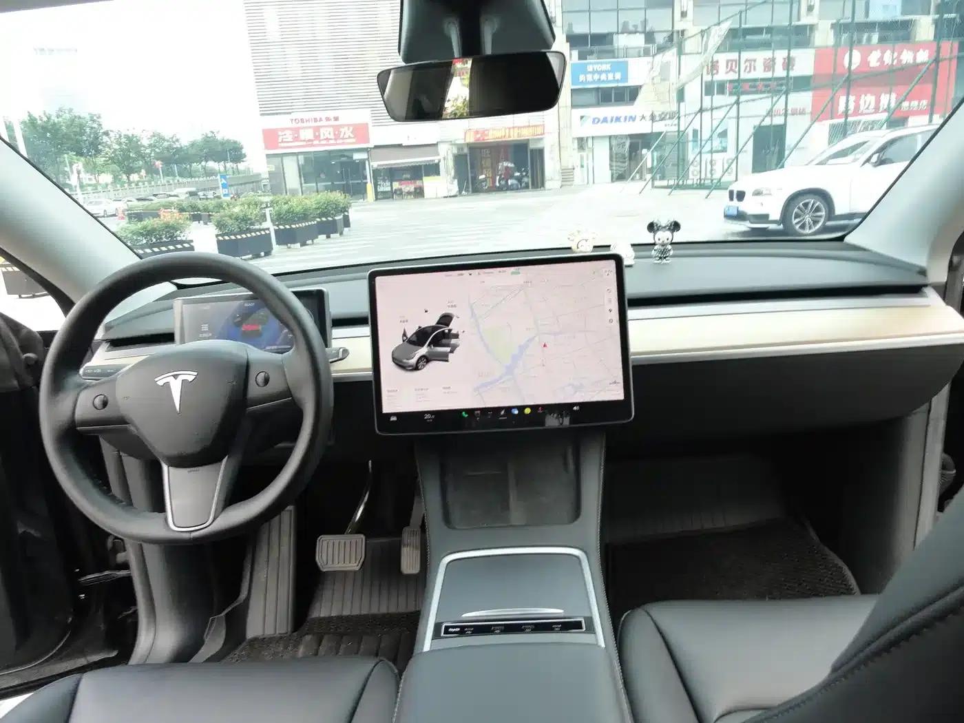 Model Y 2021 Standard Range Rear-Wheel Drive — миниатюра 6