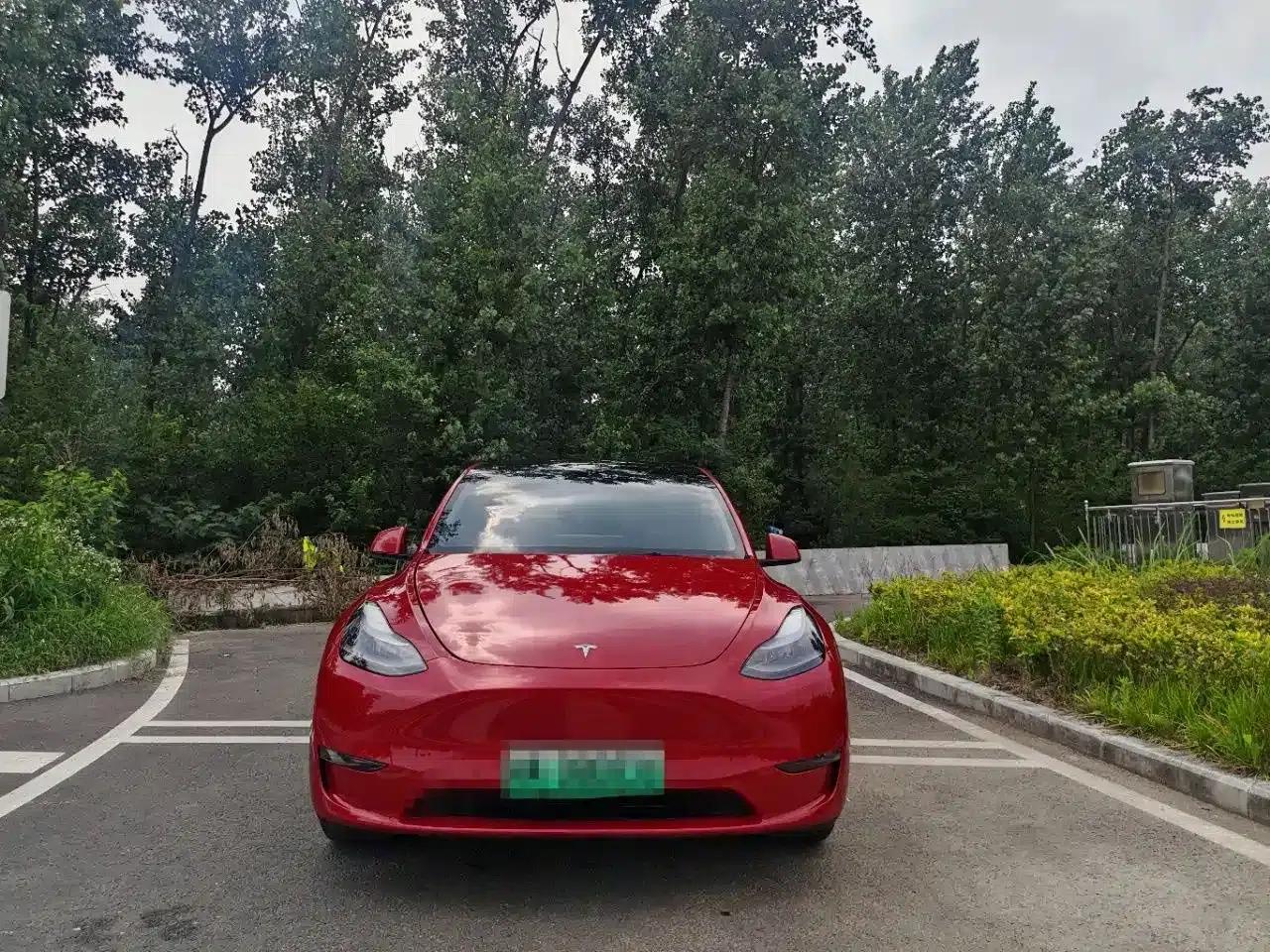 Model Y 2021 Standard Range Rear-Wheel Drive — миниатюра 2