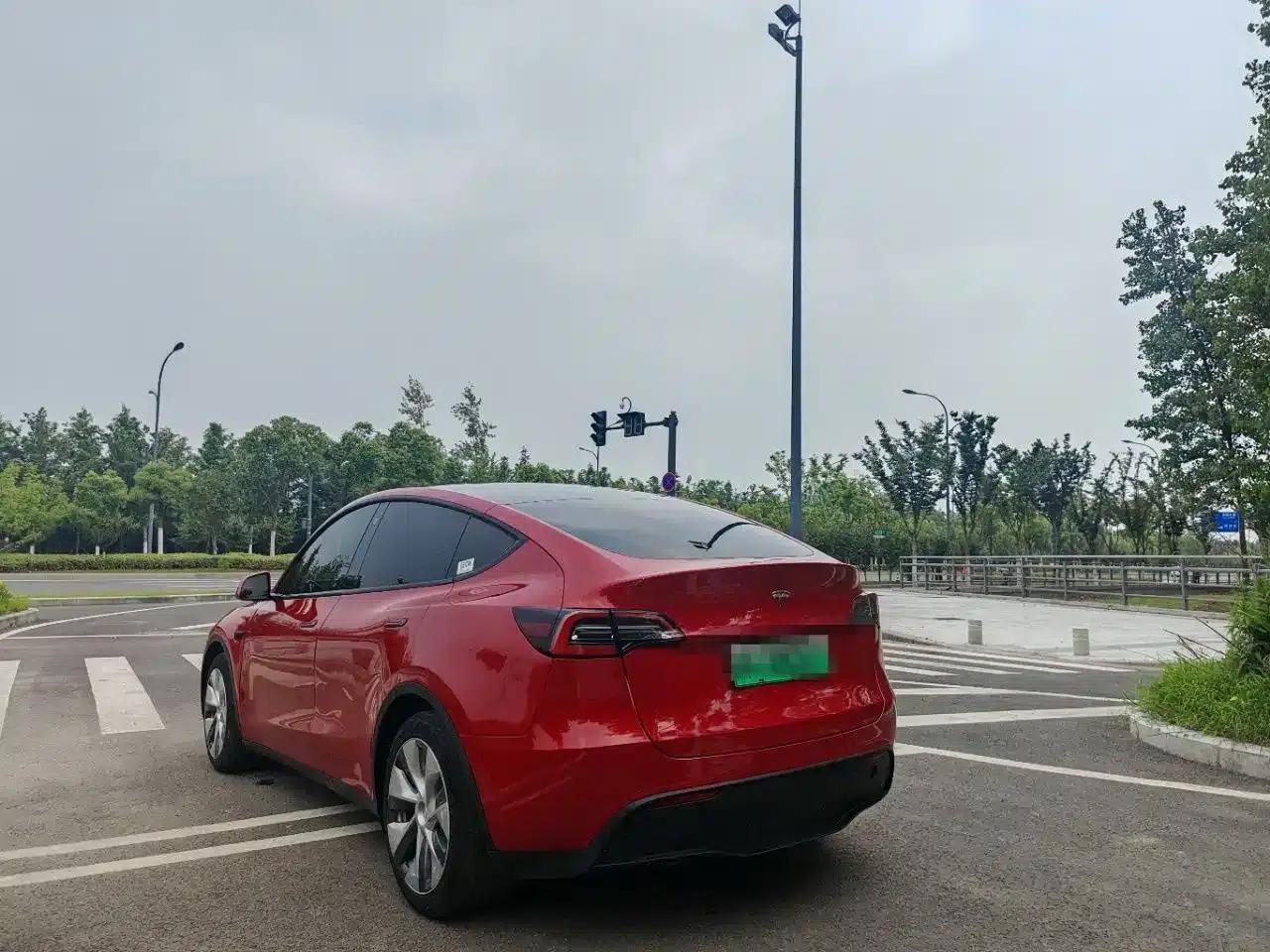 Model Y 2021 Standard Range Rear-Wheel Drive — миниатюра 11