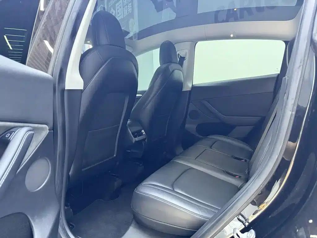 Model Y 2021 Standard Range Rear-Wheel Drive — миниатюра 6