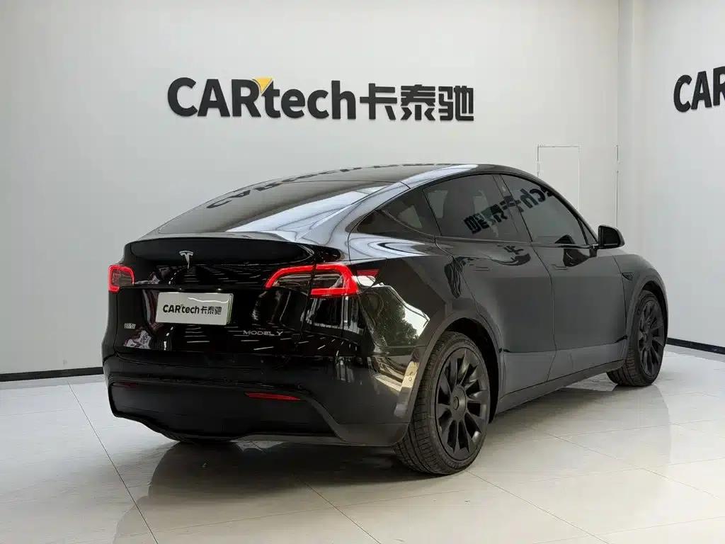Model Y 2021 Standard Range Rear-Wheel Drive — миниатюра 8
