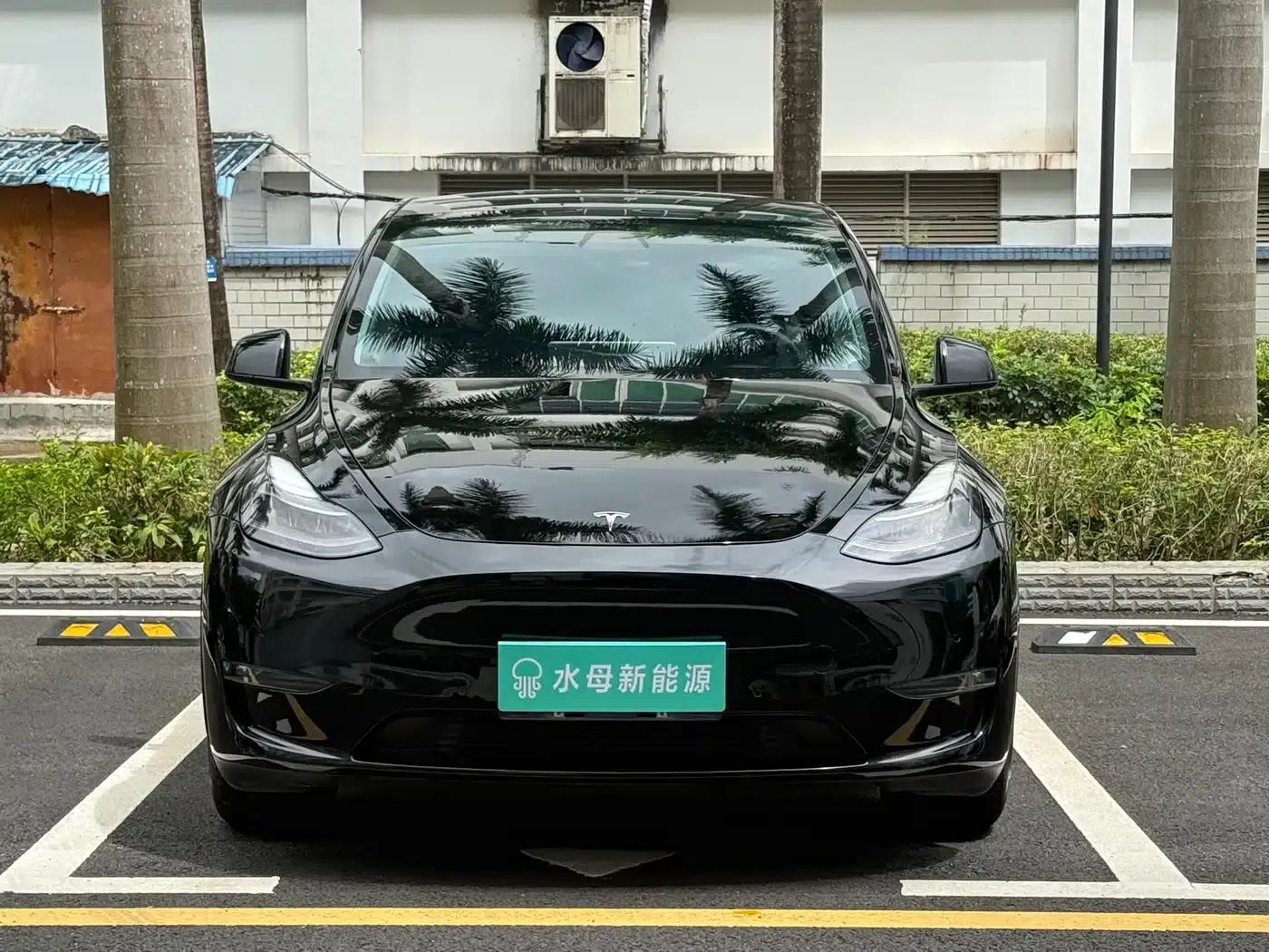 Model Y 2021 Long Range All-Wheel Drive — миниатюра 2