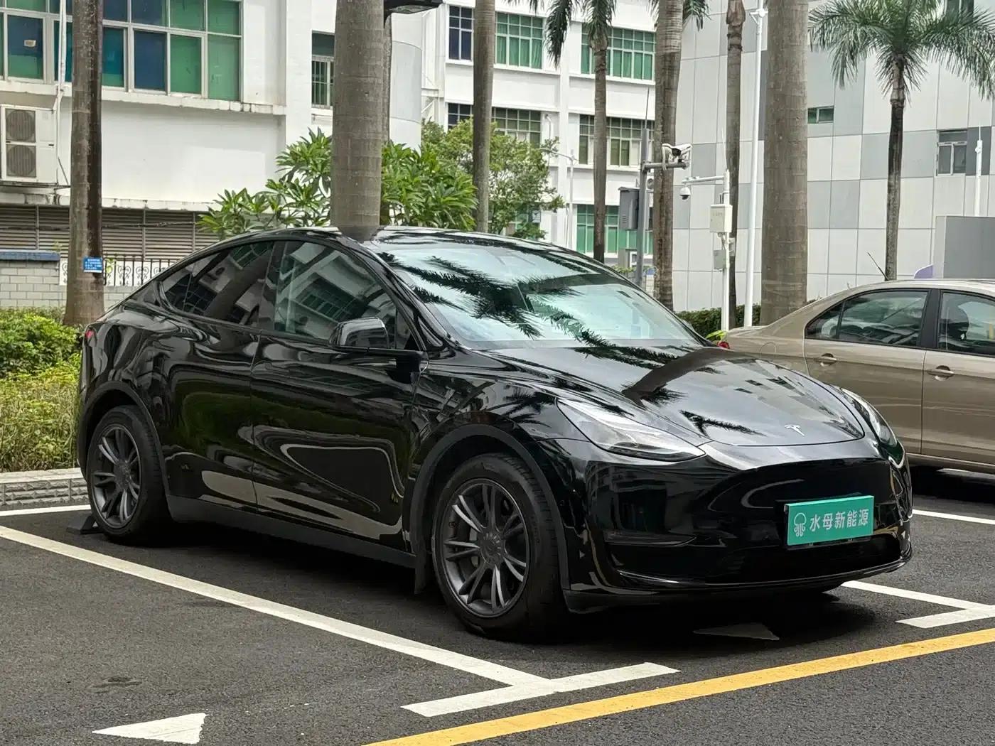Model Y 2021 Long Range All-Wheel Drive — миниатюра 3