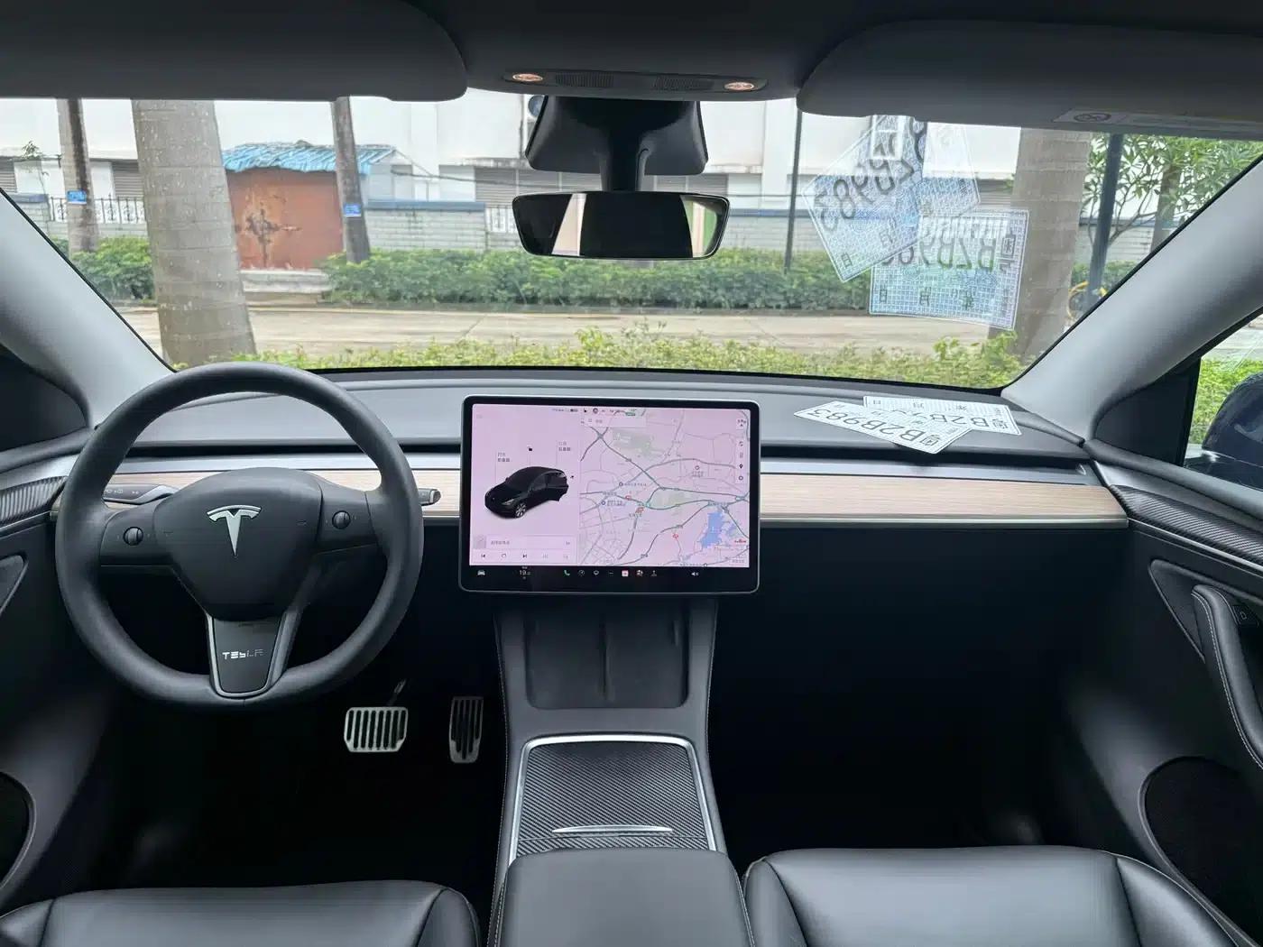 Model Y 2021 Long Range All-Wheel Drive — миниатюра 8
