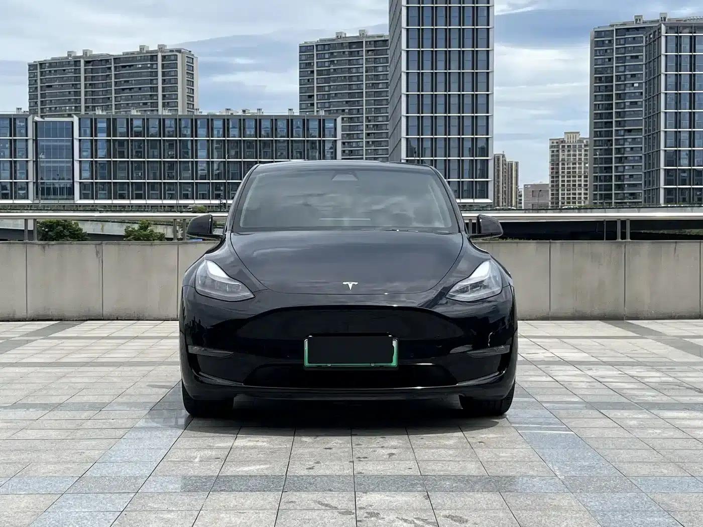Model Y 2021 Long Range All-Wheel Drive — миниатюра 2