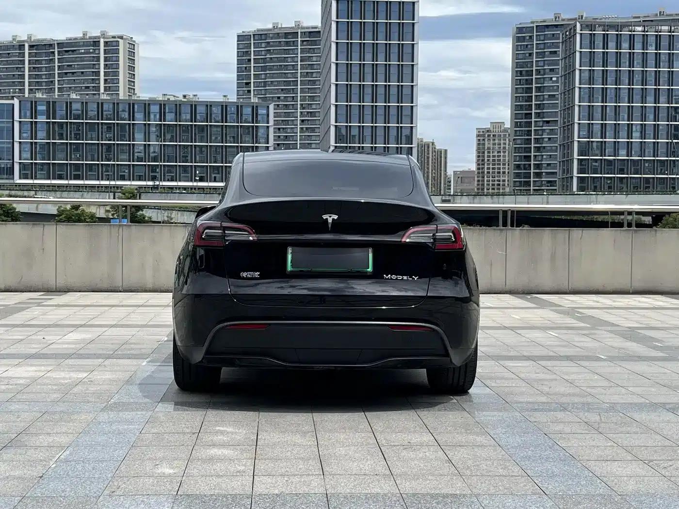 Model Y 2021 Long Range All-Wheel Drive — миниатюра 16