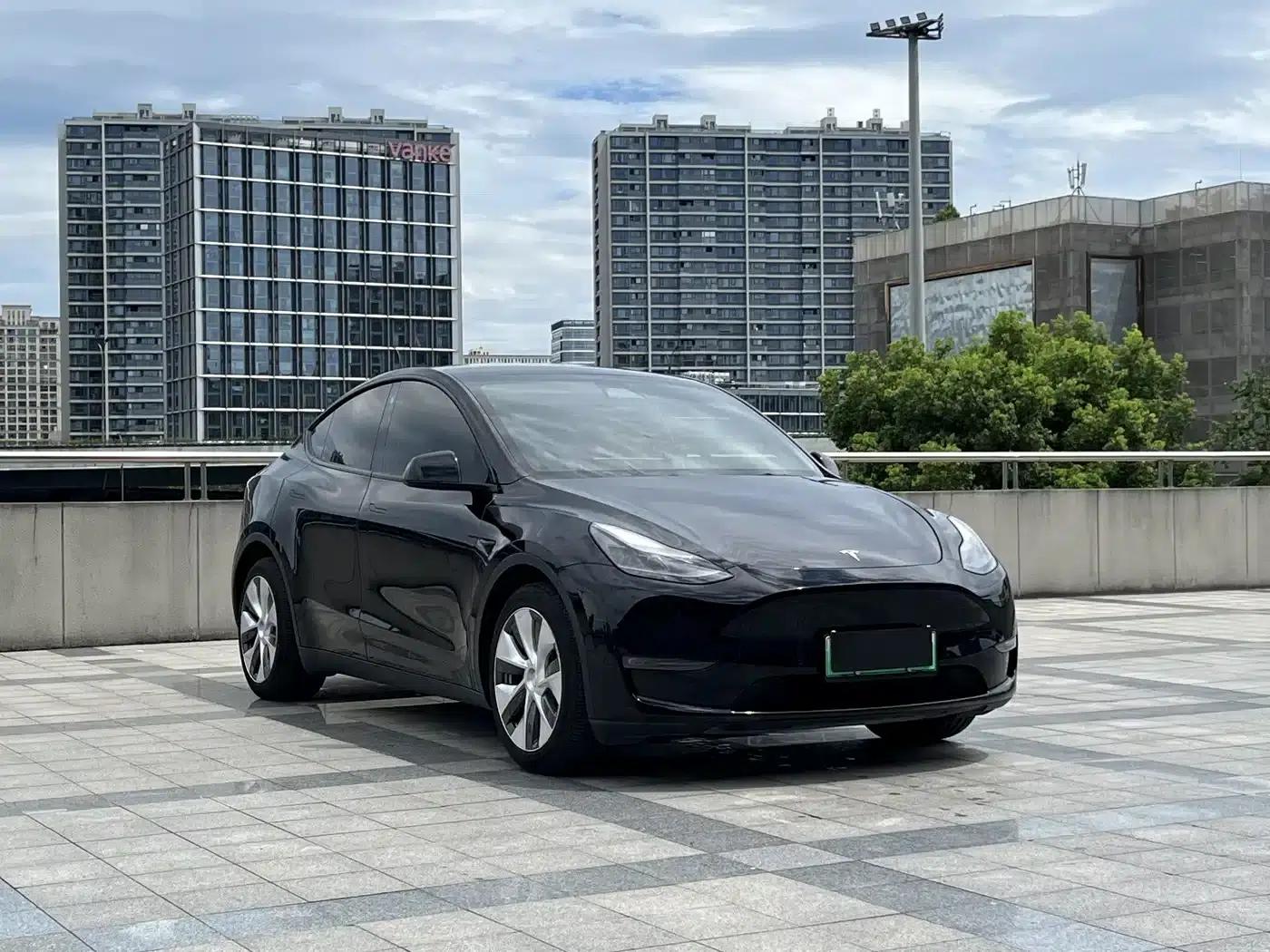 Model Y 2021 Long Range All-Wheel Drive — миниатюра 3