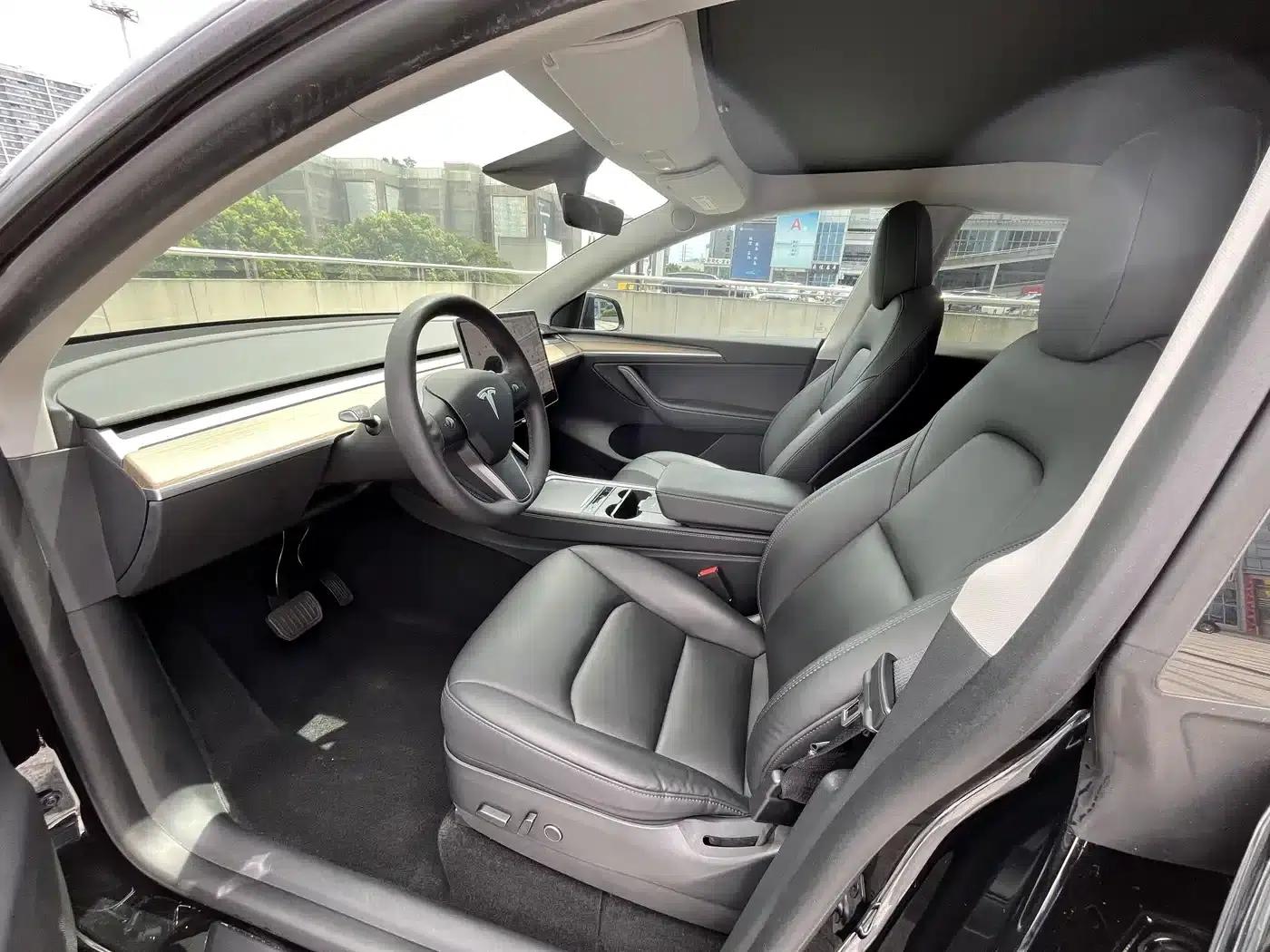 Model Y 2021 Long Range All-Wheel Drive — миниатюра 5