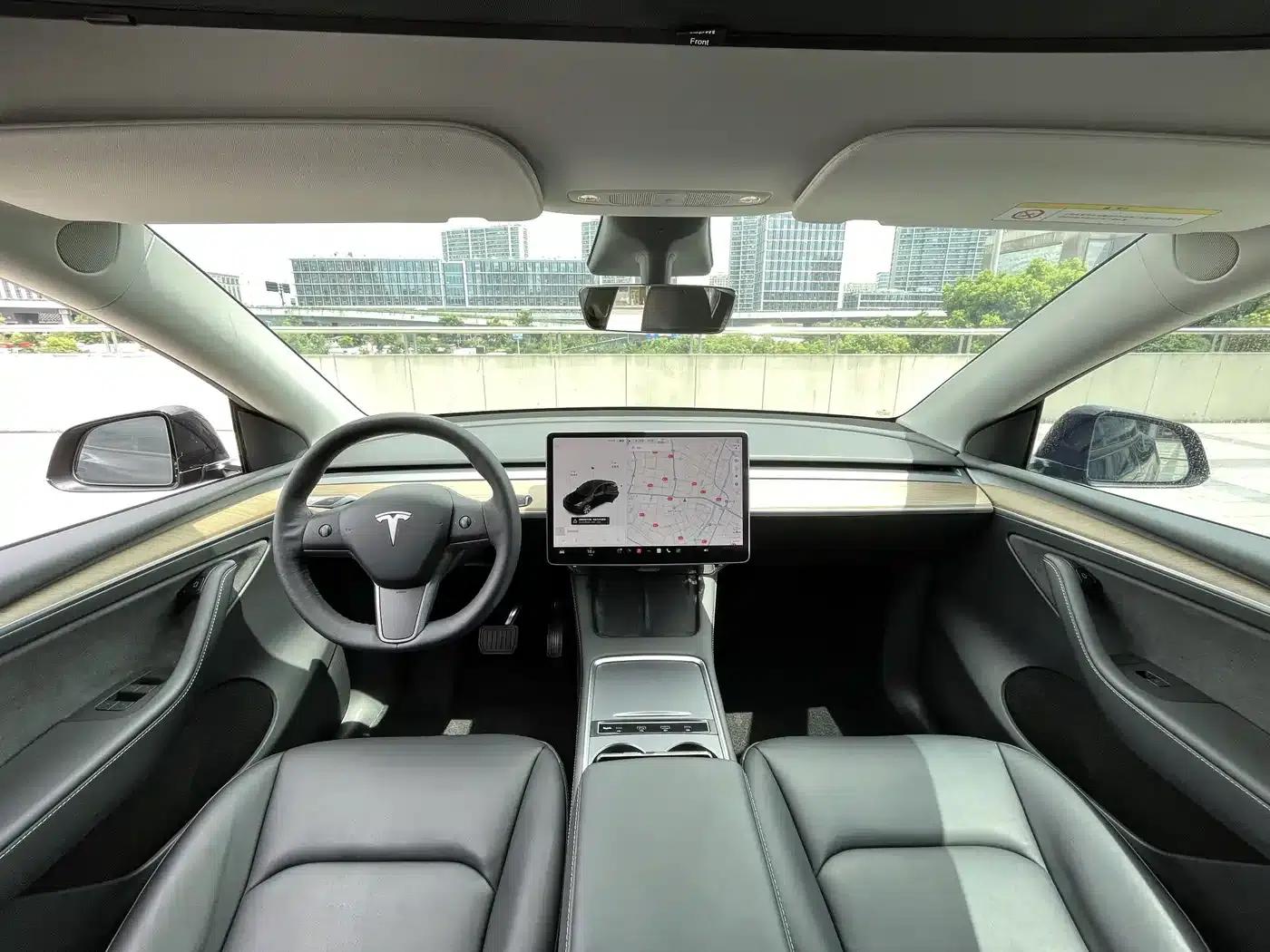 Model Y 2021 Long Range All-Wheel Drive — миниатюра 6