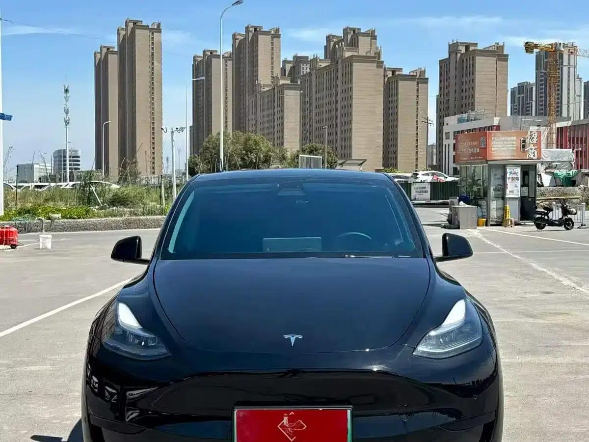Model Y 2022 Rear-Wheel Drive — миниатюра 2