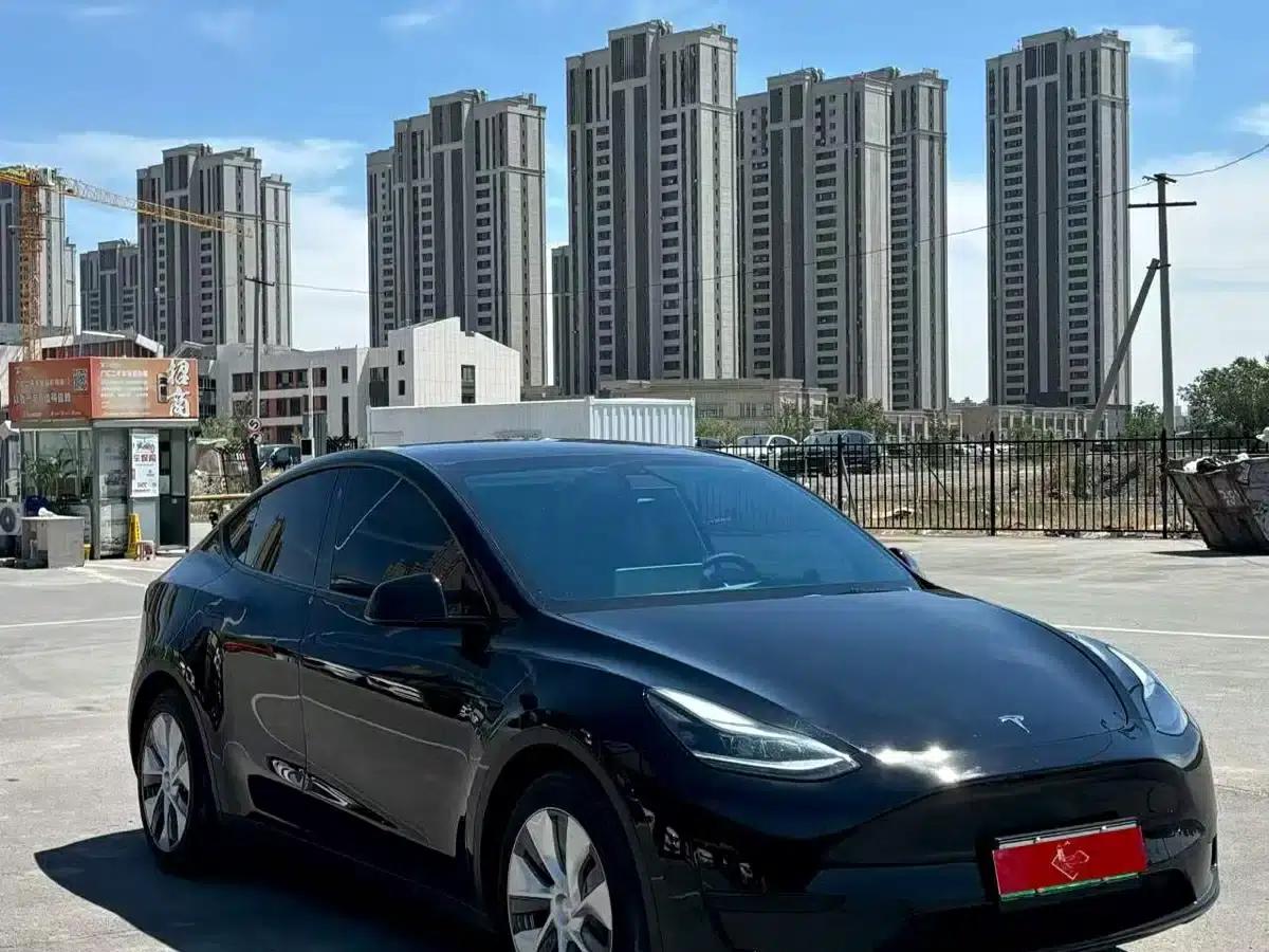 Model Y 2022 Rear-Wheel Drive — миниатюра 3