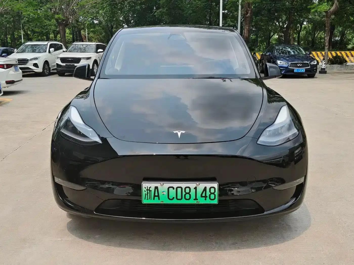 Model Y 2021 Long Range All-Wheel Drive 3D7 — миниатюра 8