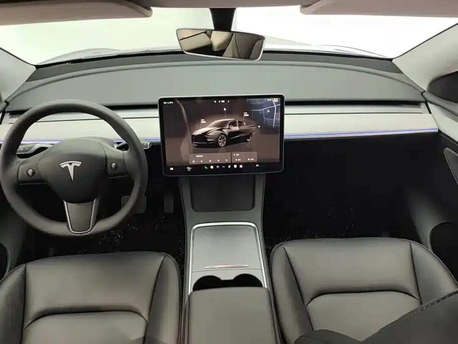 Model Y 2024 Rear-Wheel Drive — миниатюра 12