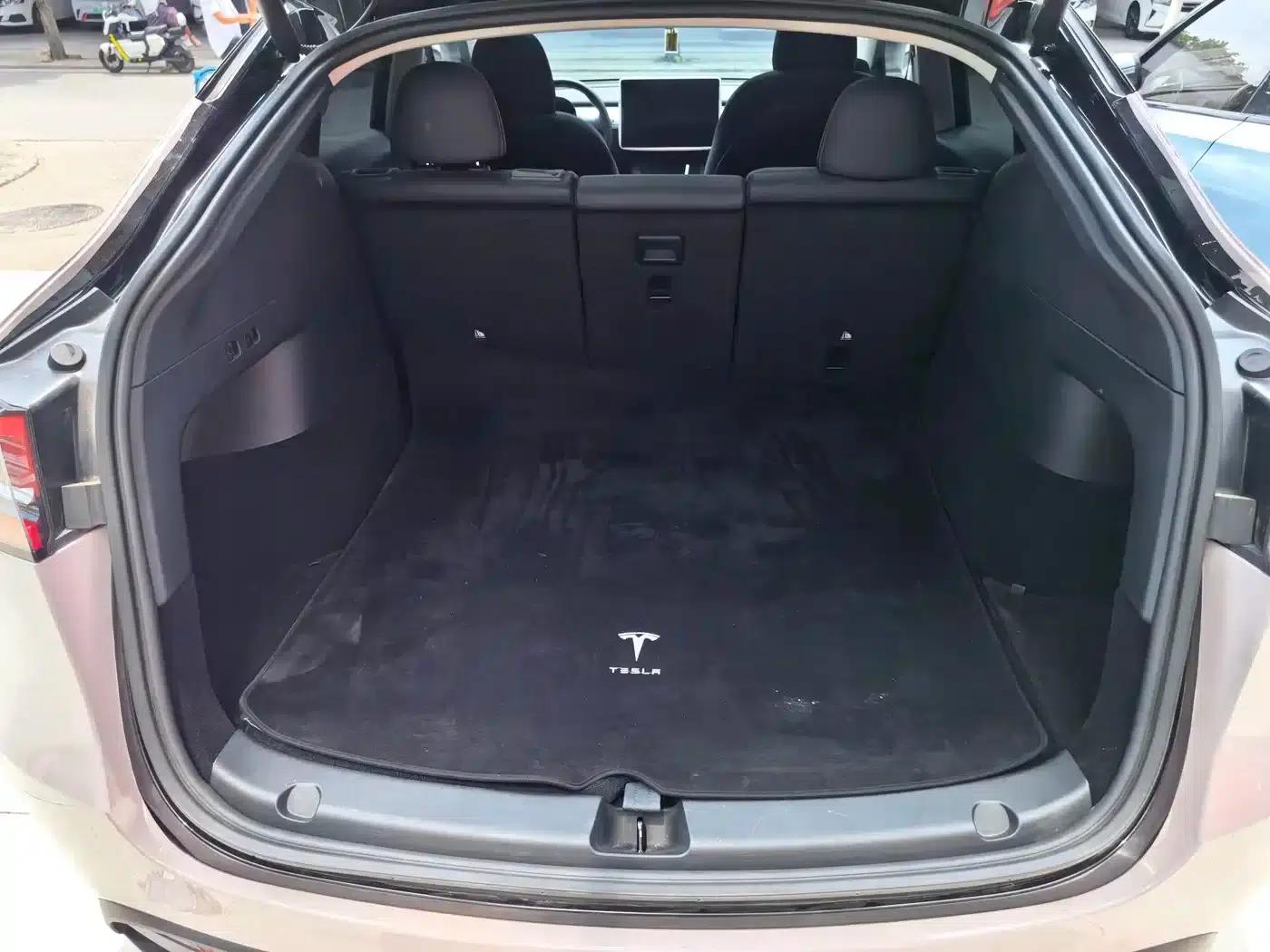 Model Y 2021 Standard Range Rear-Wheel Drive — миниатюра 11