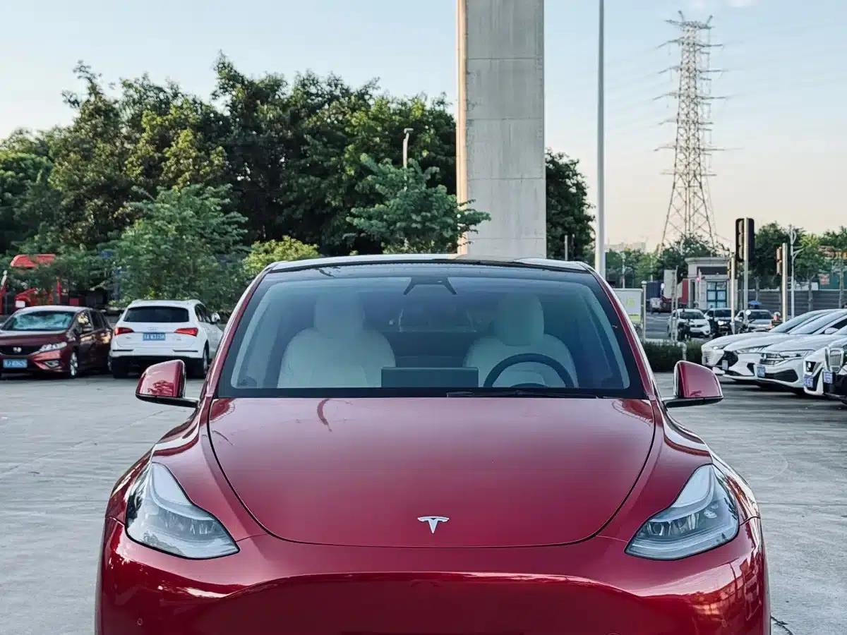 Model Y 2021 Performance All-Wheel Drive — миниатюра 2