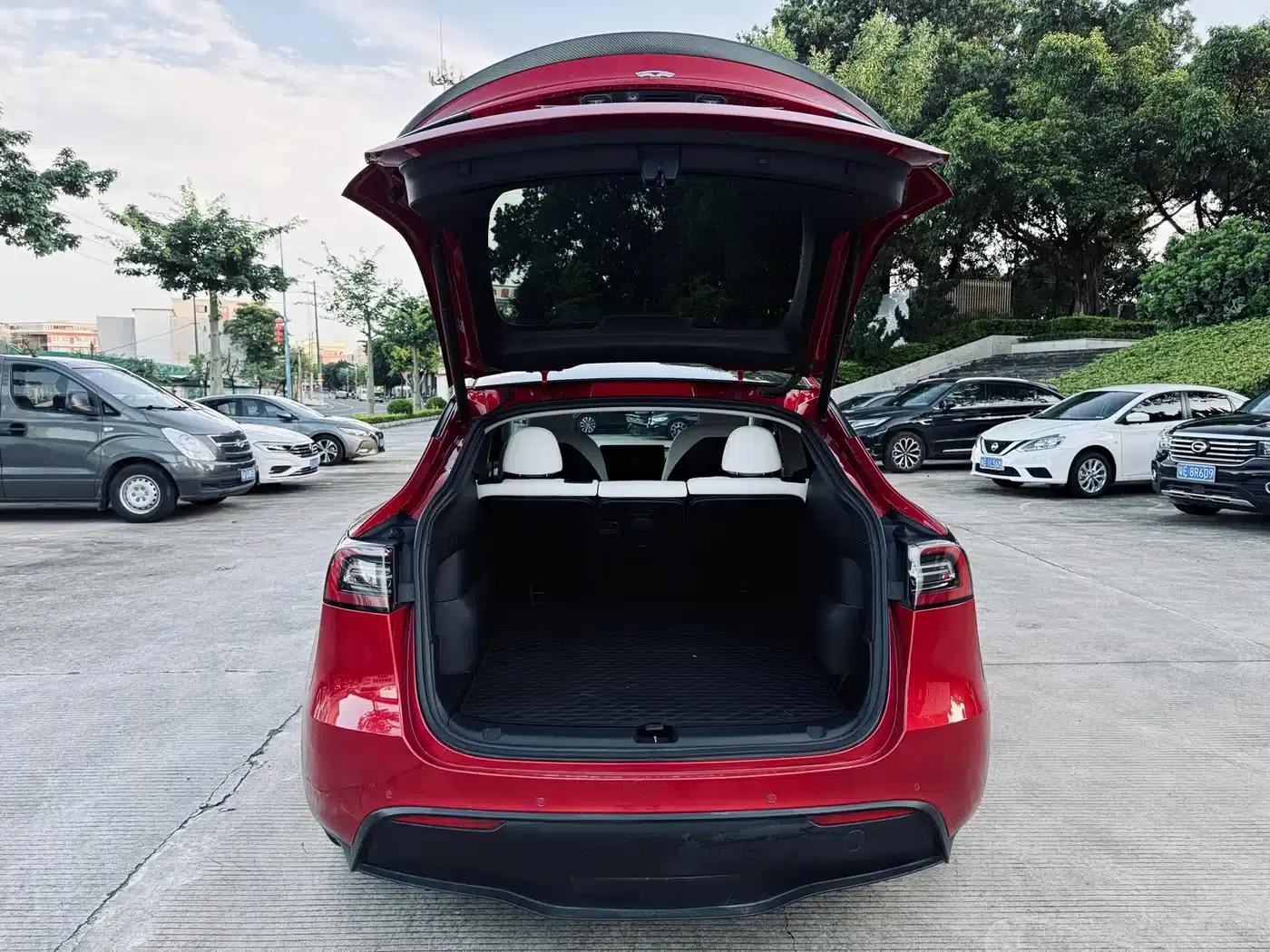 Model Y 2021 Performance All-Wheel Drive — миниатюра 16