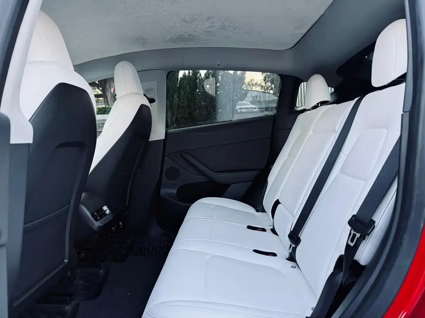 Model Y 2021 Performance All-Wheel Drive — миниатюра 20