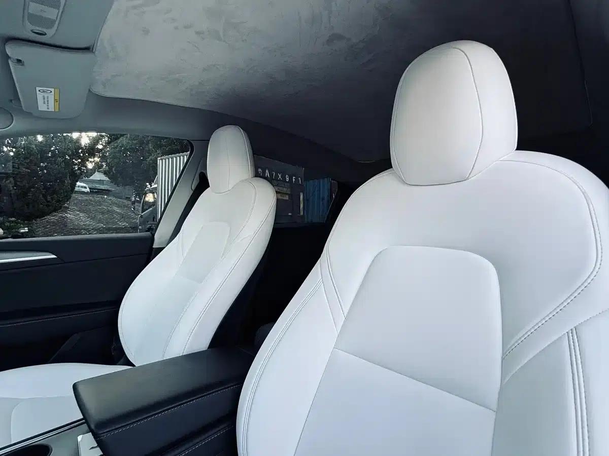 Model Y 2021 Performance All-Wheel Drive — миниатюра 33