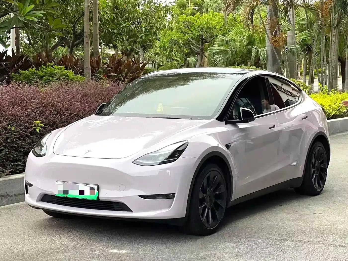 Model Y 2021 Standard Range Rear-Wheel Drive — миниатюра 1