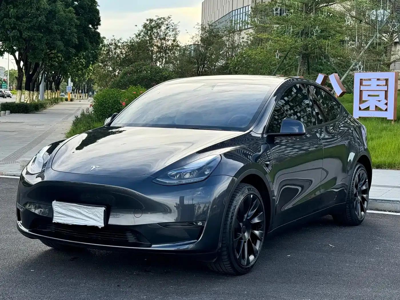 Model Y 2024 Long Range All-Wheel Drive — миниатюра 1