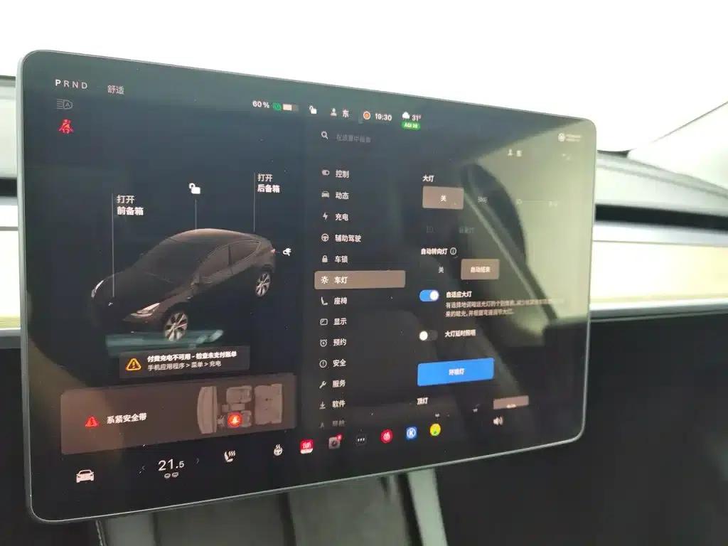 Model Y 2021 Standard Range Rear-Wheel Drive — миниатюра 21