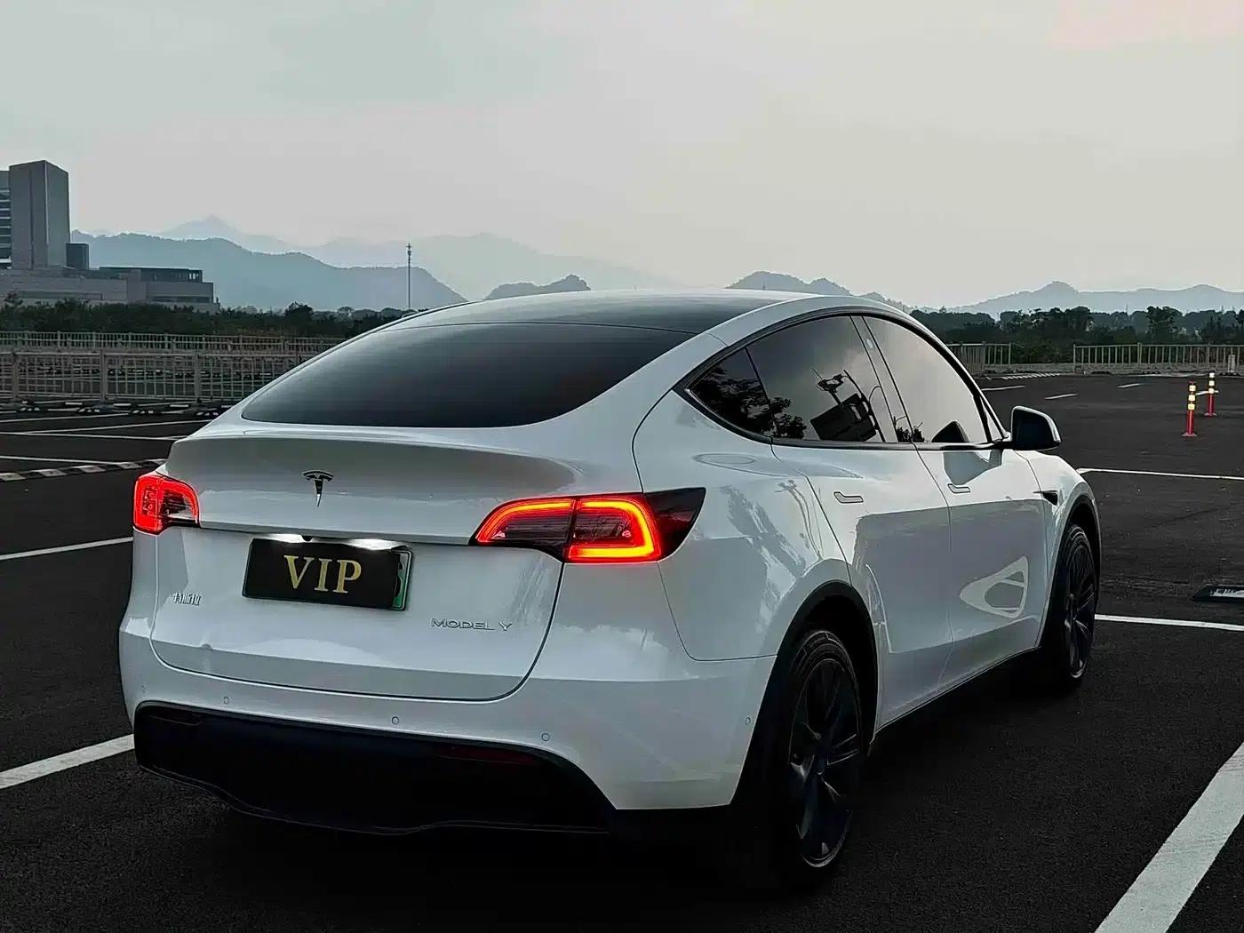 Model Y 2023 Rear-Wheel Drive — миниатюра 8