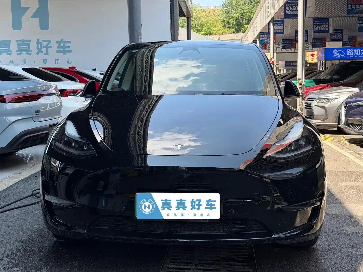 Model Y 2023 Long Range All-Wheel Drive — миниатюра 2