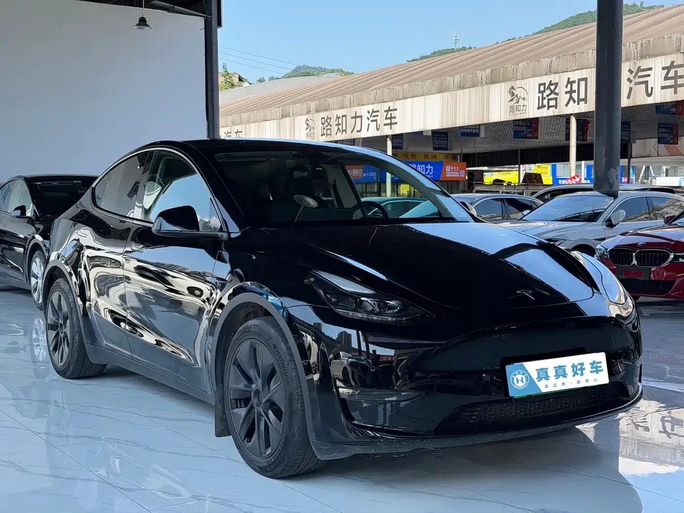 Model Y 2023 Long Range All-Wheel Drive — миниатюра 3