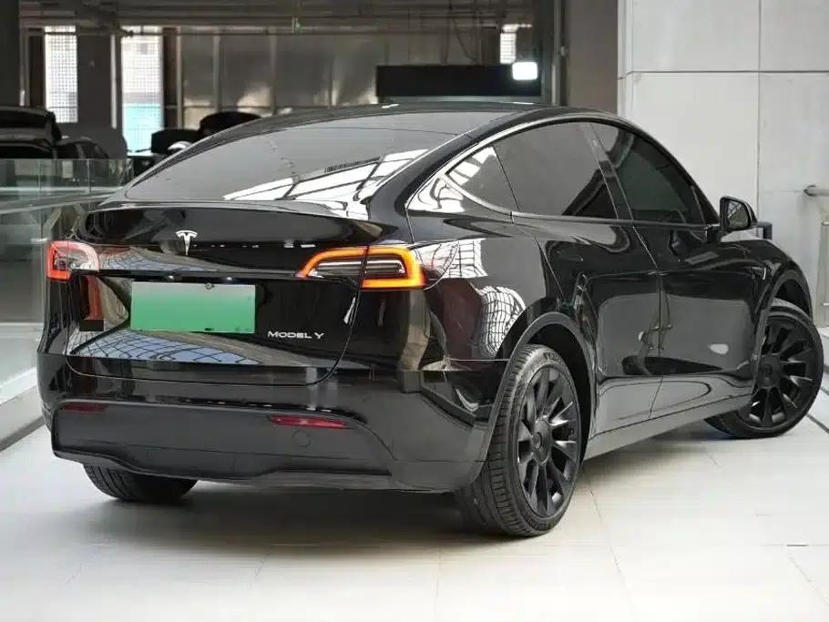 Model Y 2022 Rear-Wheel Drive — миниатюра 2