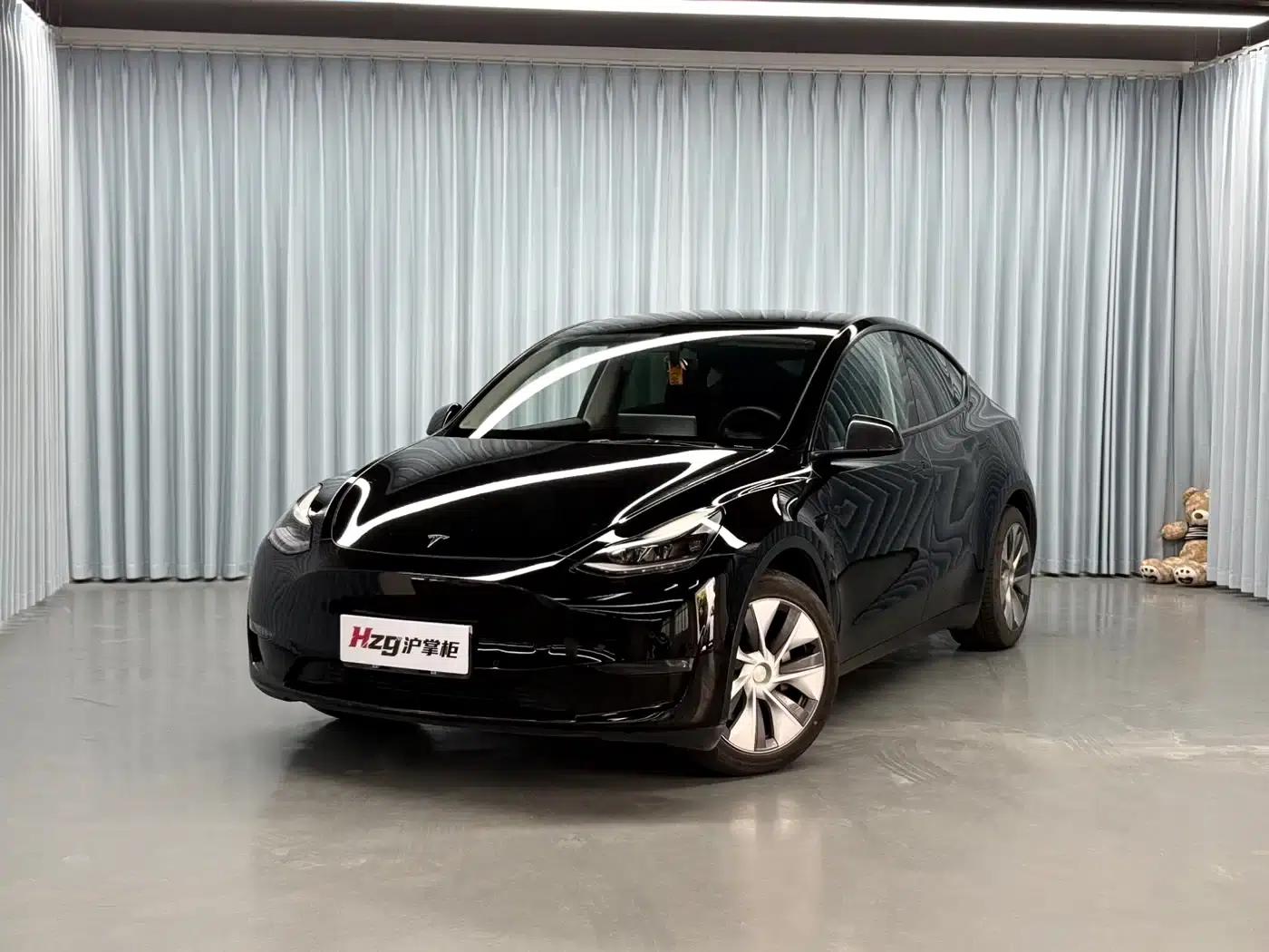 Model Y 2021 Standard Range Rear-Wheel Drive — миниатюра 1