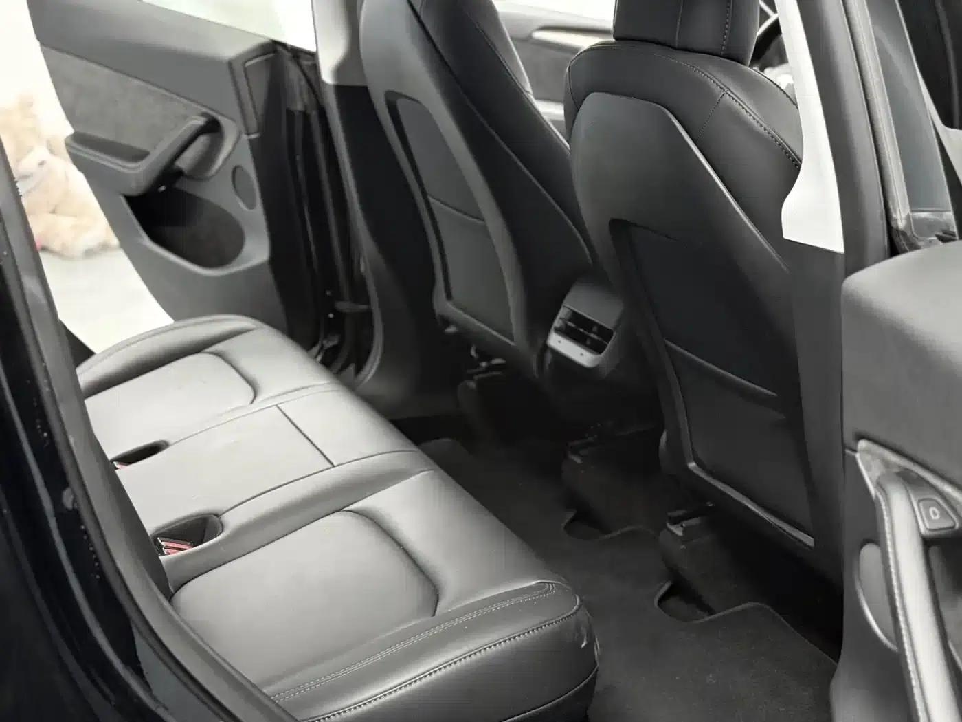 Model Y 2021 Standard Range Rear-Wheel Drive — миниатюра 6