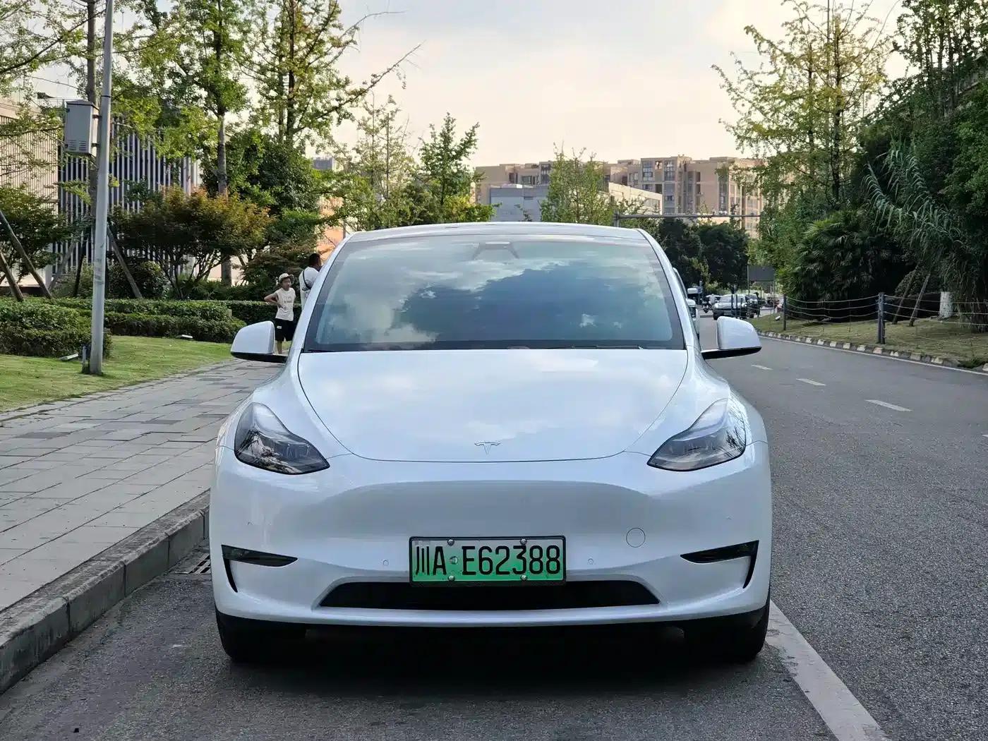 Model Y 2021 Long Range All-Wheel Drive — миниатюра 2