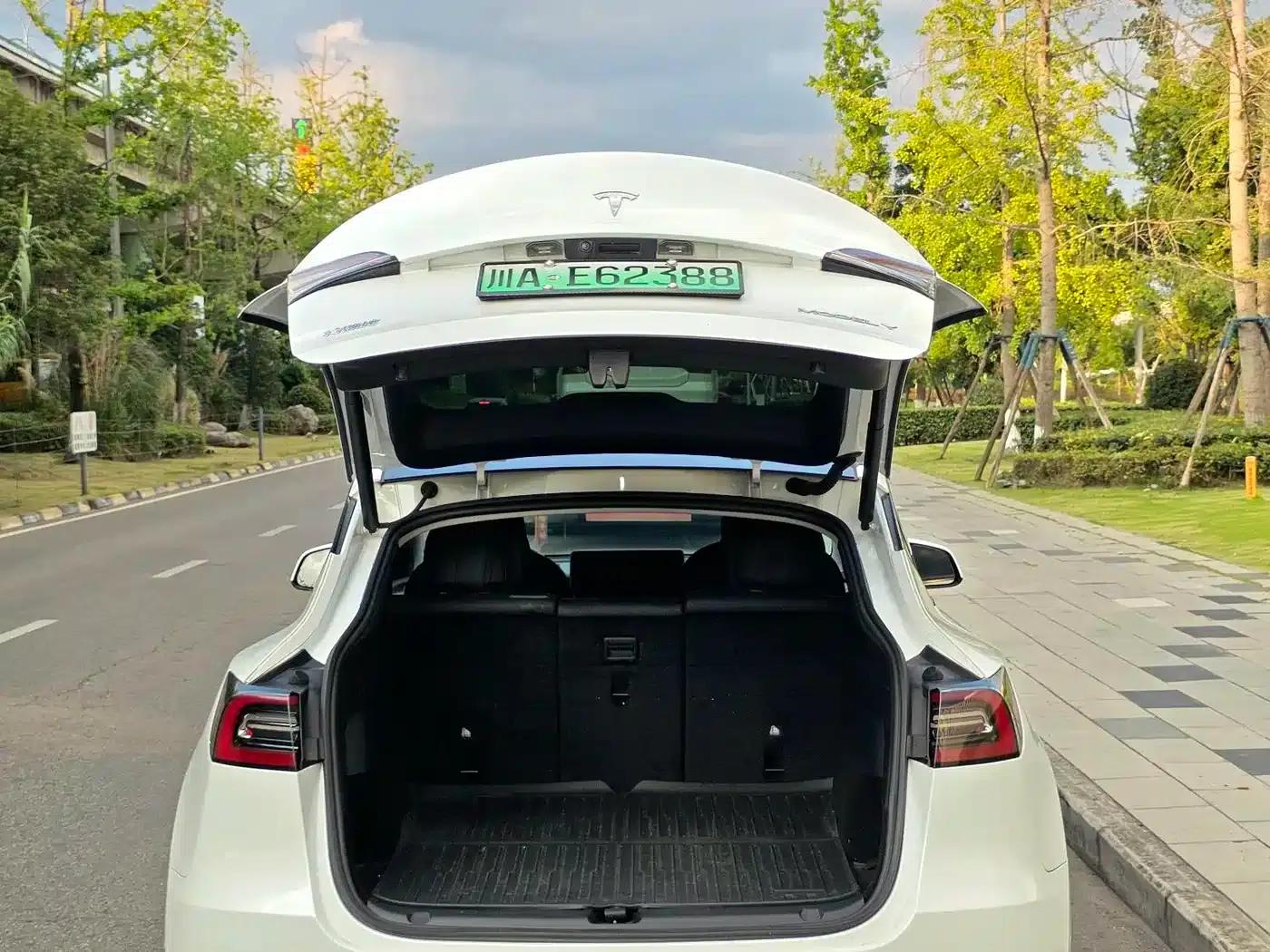 Model Y 2021 Long Range All-Wheel Drive — миниатюра 15