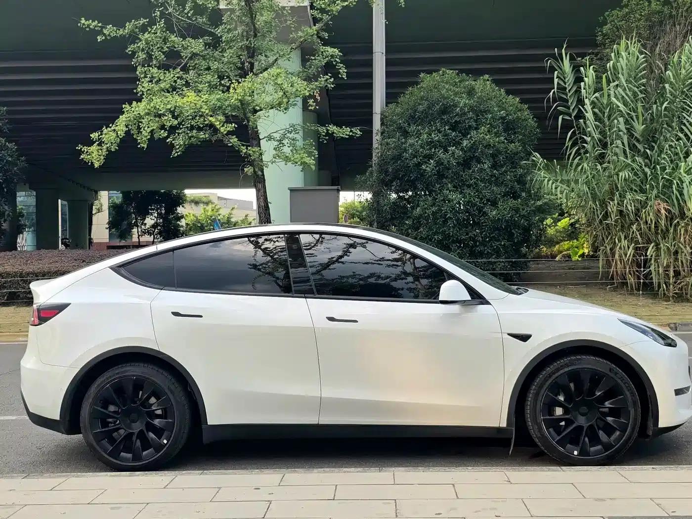 Model Y 2021 Long Range All-Wheel Drive — миниатюра 4