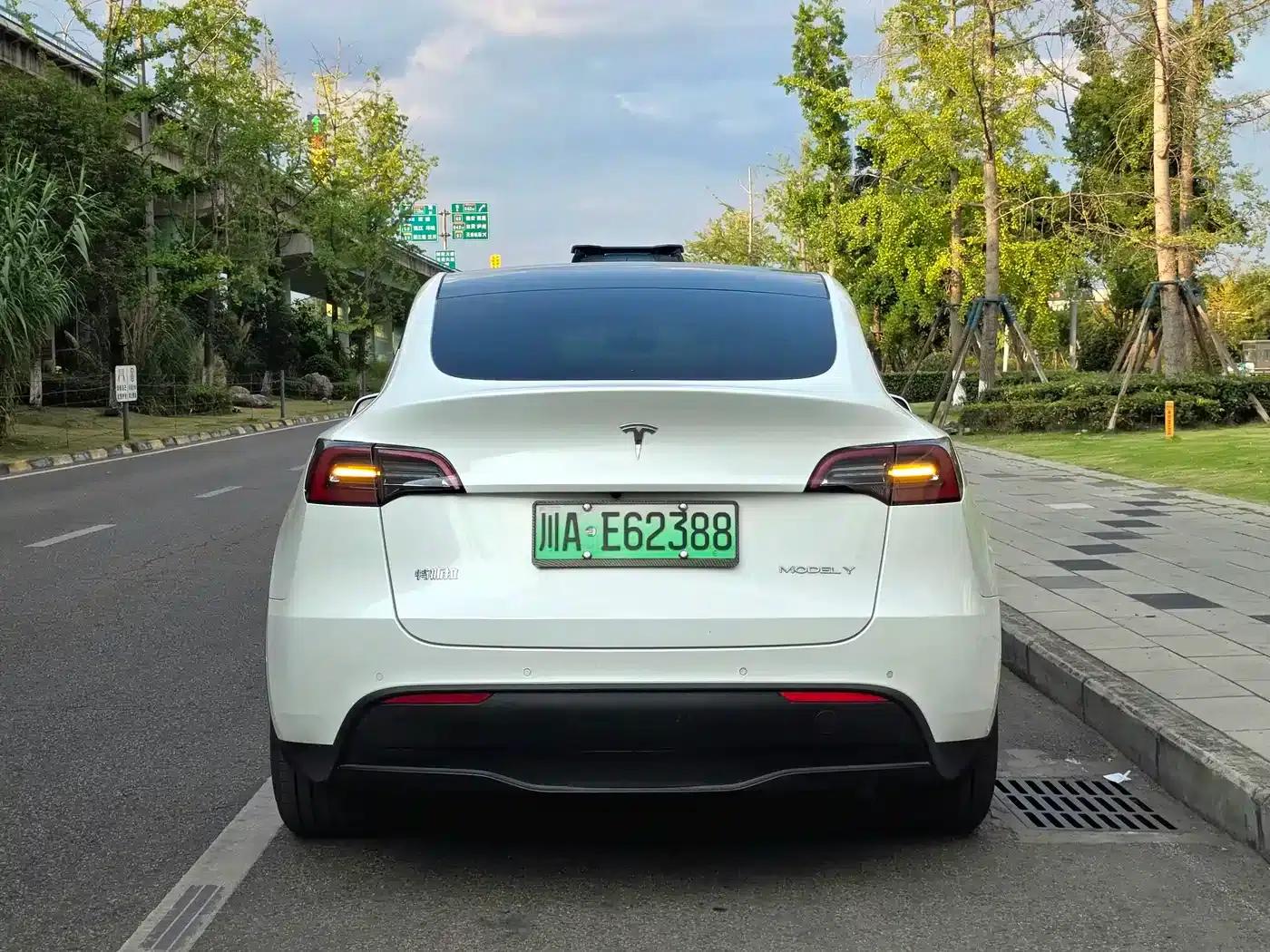 Model Y 2021 Long Range All-Wheel Drive — миниатюра 6