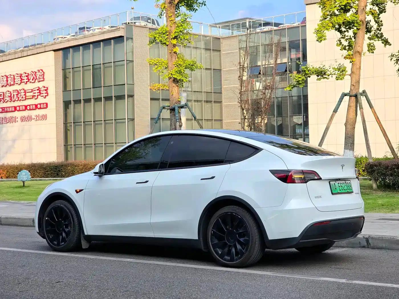 Model Y 2021 Long Range All-Wheel Drive — миниатюра 7