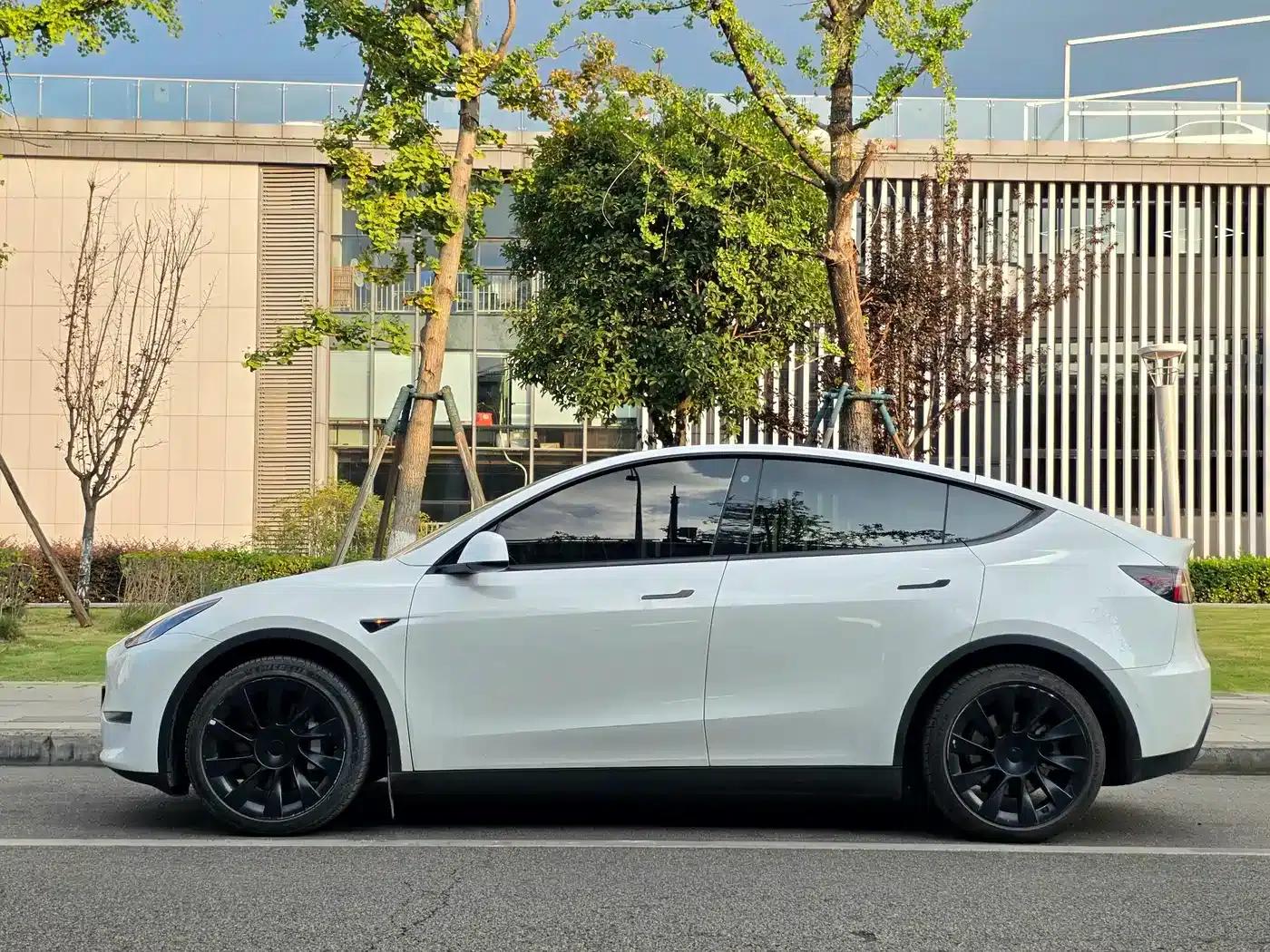 Model Y 2021 Long Range All-Wheel Drive — миниатюра 8