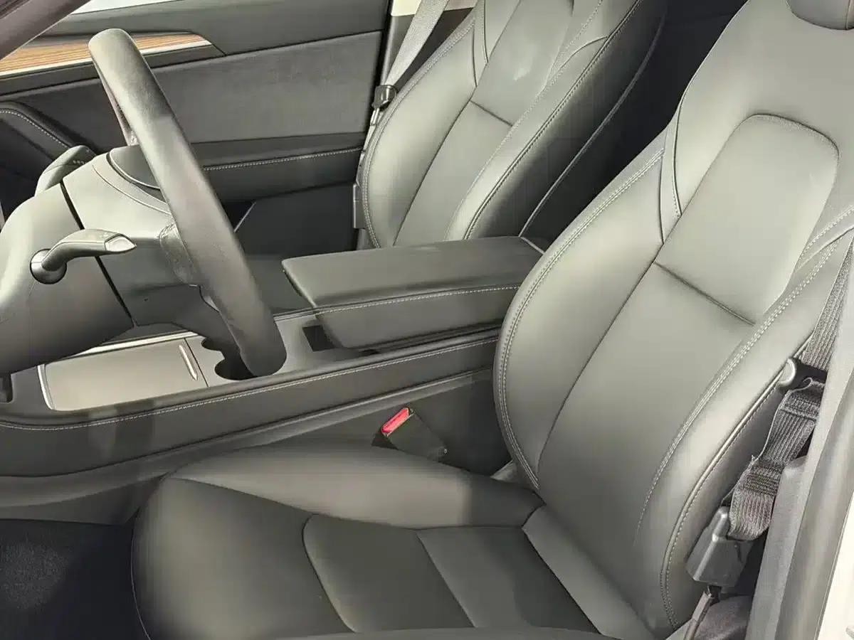Model Y 2021 Standard Range Rear-Wheel Drive — миниатюра 9