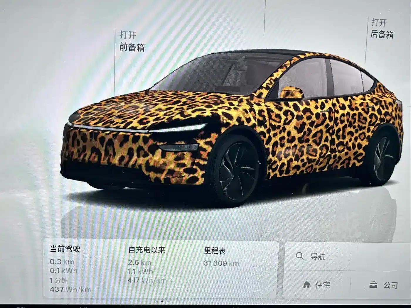 Model Y 2025 Rear-Wheel Drive — миниатюра 5