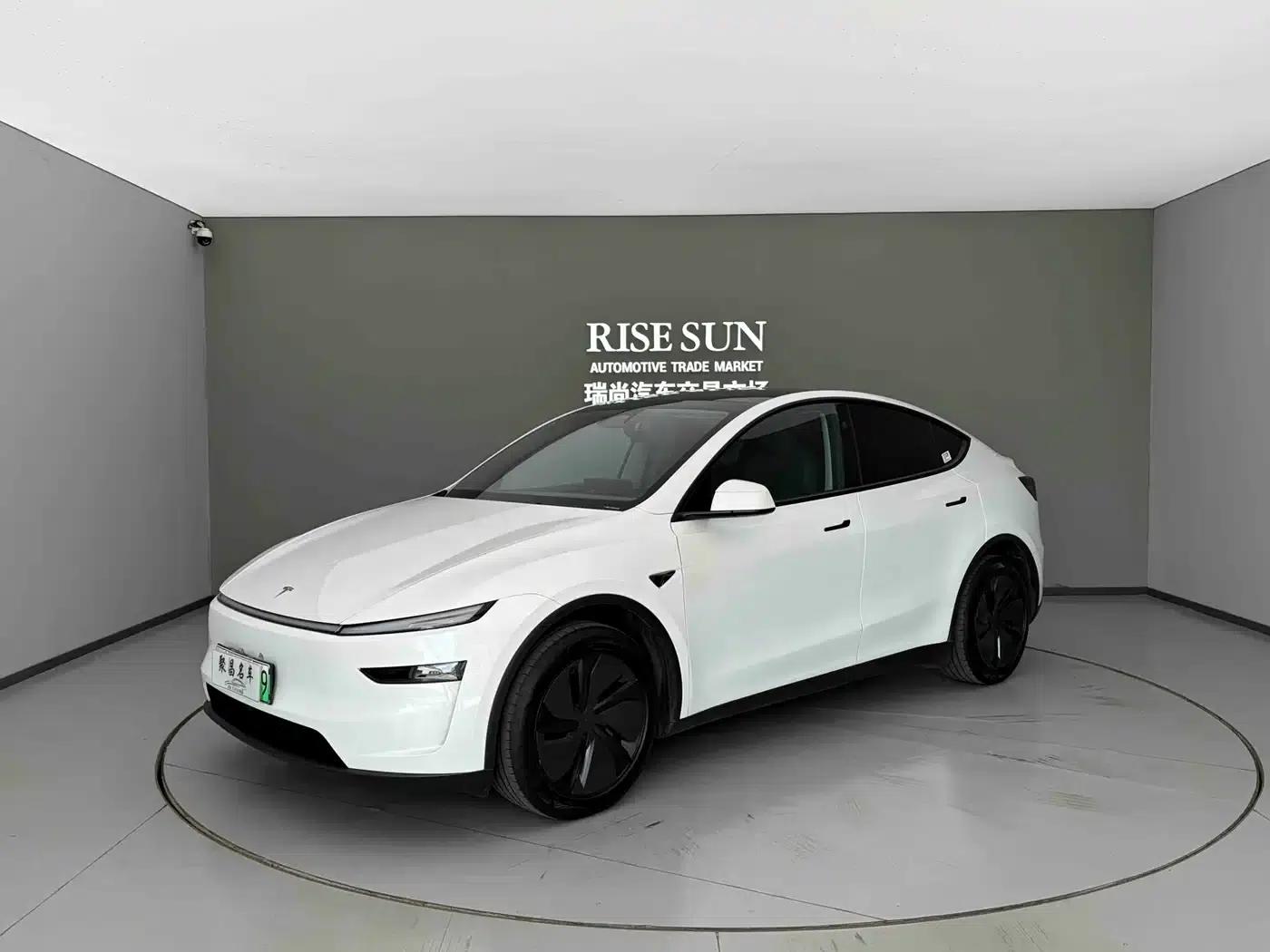 Model Y 2025 Long Range All-Wheel Drive — миниатюра 1