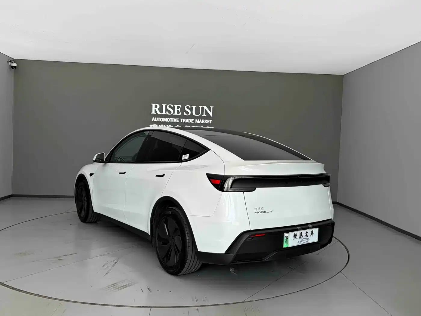 Model Y 2025 Long Range All-Wheel Drive — миниатюра 11