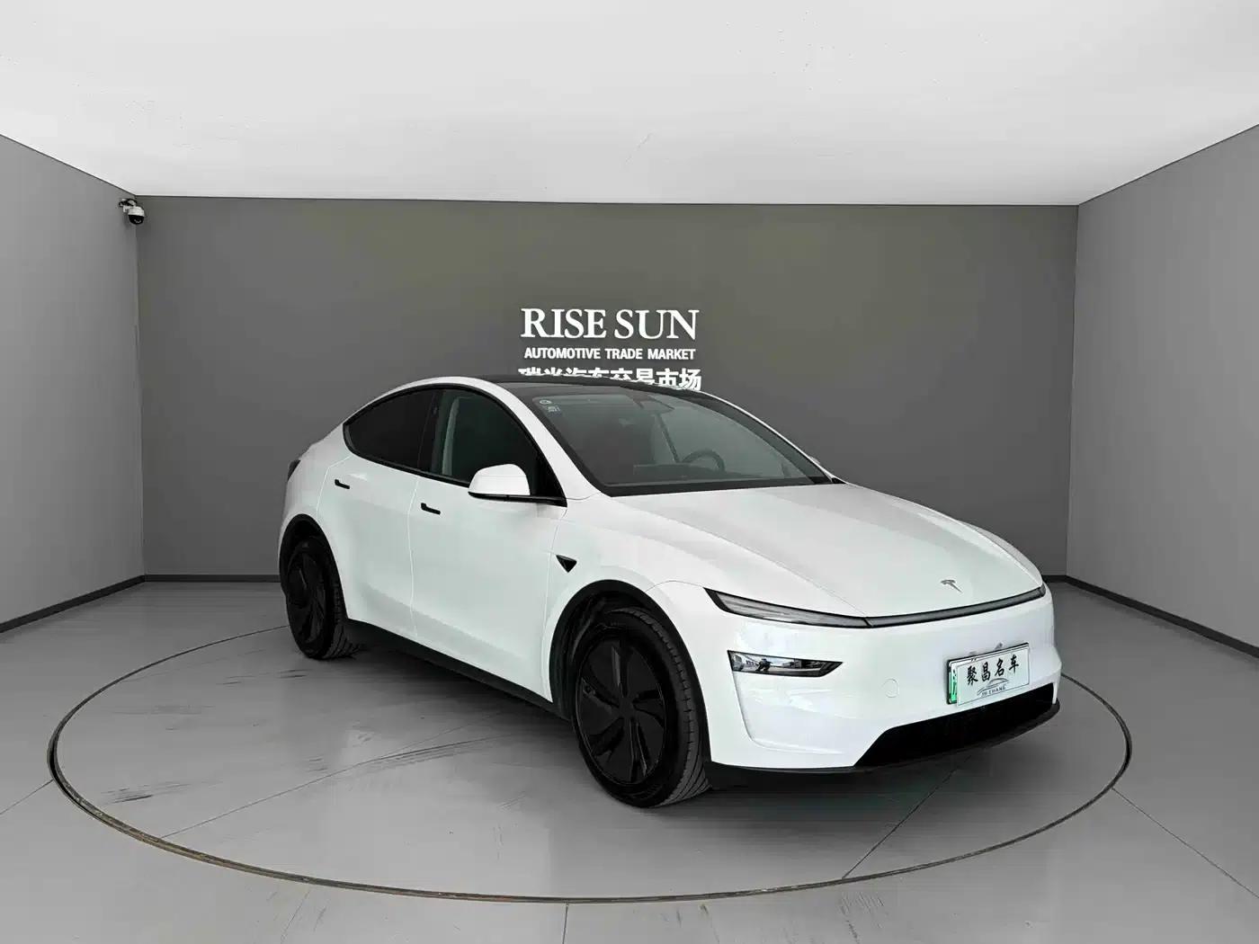 Model Y 2025 Long Range All-Wheel Drive — миниатюра 3