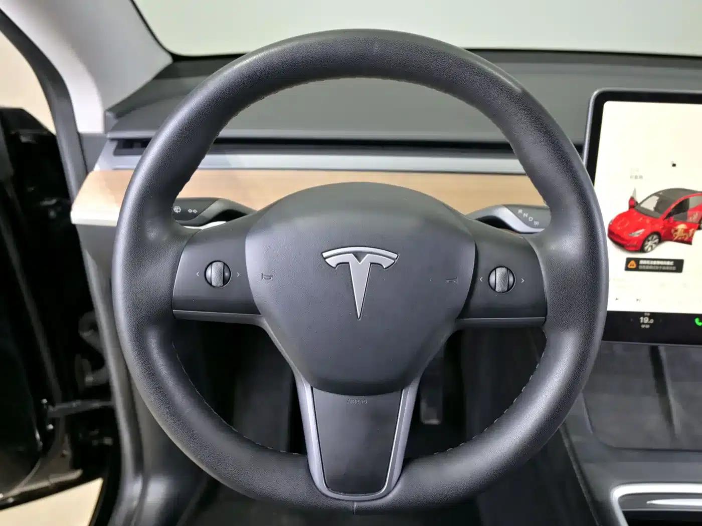 Model Y 2021 Standard Range Rear-Wheel Drive — миниатюра 14