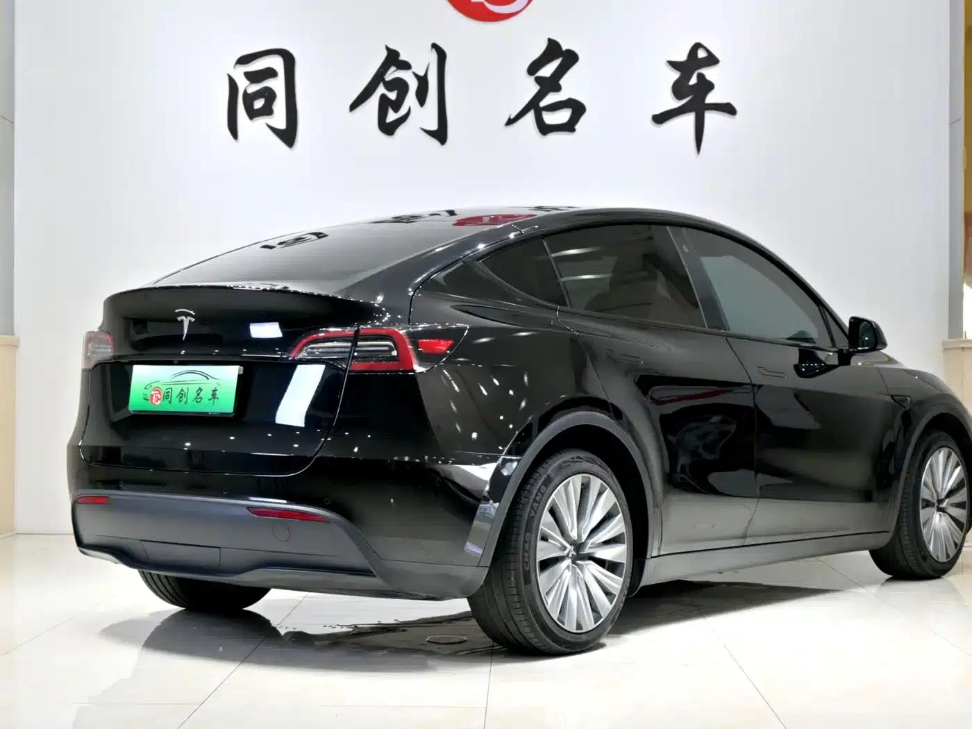Model Y 2021 Standard Range Rear-Wheel Drive — миниатюра 6