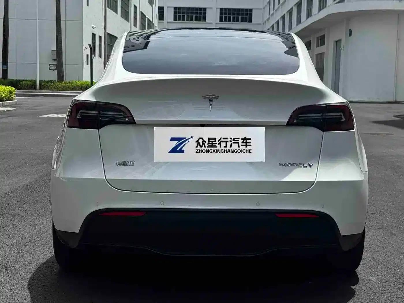 Model Y 2021 Long Range All-Wheel Drive — миниатюра 8