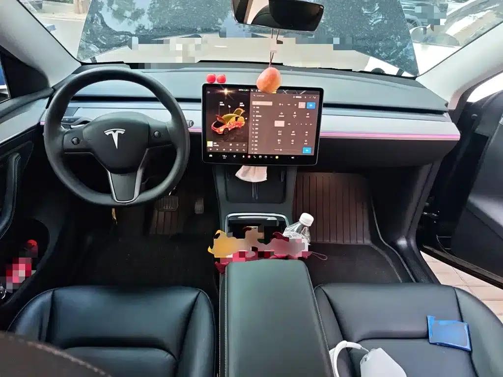Model Y 2023 Long Range All-Wheel Drive — миниатюра 6